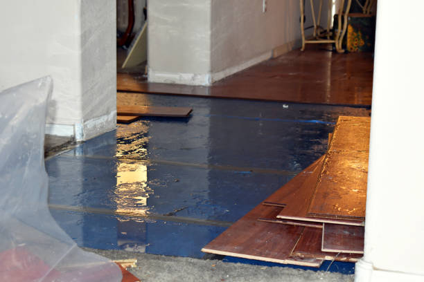 Professional Sewage Cleanup technician working in Leroy, TX